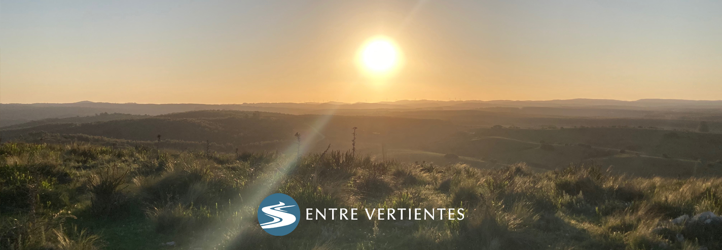 Banner homeanchoo EV-4